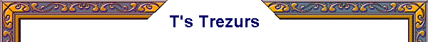 T's Trezurs